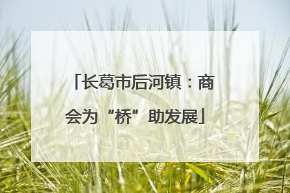 长葛市后河镇：商会为“桥”助发展