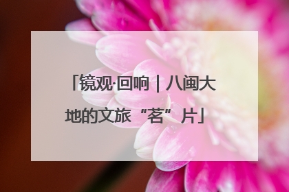 镜观·回响｜八闽大地的文旅“茗”片