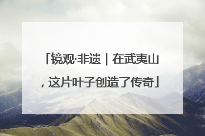 镜观·非遗｜在武夷山，这片叶子创造了传奇