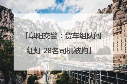 阜阳交警：货车组队闯红灯 28名司机被拘