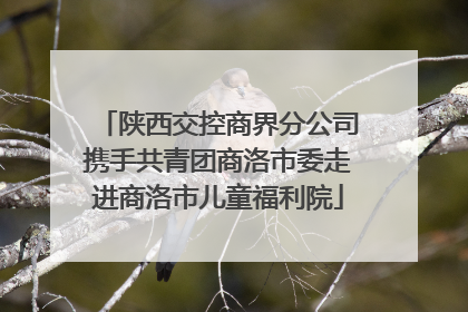 陕西交控商界分公司携手共青团商洛市委走进商洛市儿童福利院