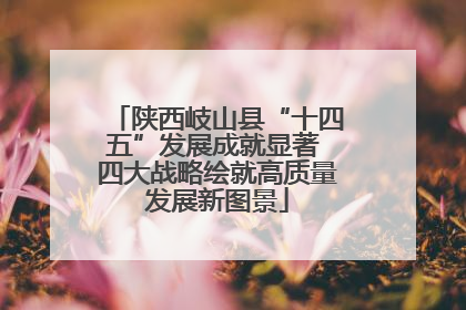 陕西岐山县“十四五”发展成就显著 四大战略绘就高质量发展新图景