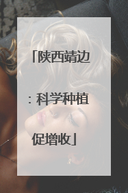 陕西靖边：科学种植促增收