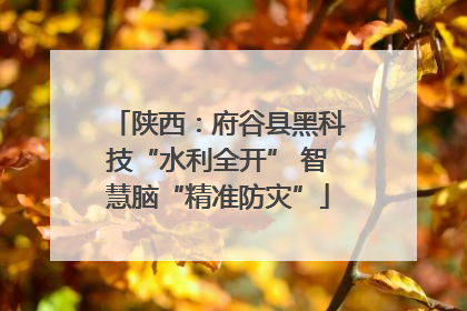 陕西：府谷县黑科技“水利全开” 智慧脑“精准防灾”