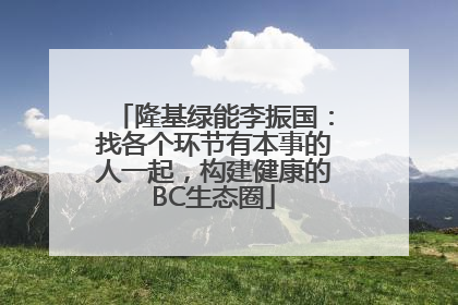 隆基绿能李振国：找各个环节有本事的人一起，构建健康的BC生态圈