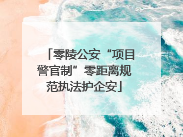 零陵公安“项目警官制”零距离规范执法护企安