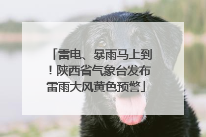 雷电、暴雨马上到！陕西省气象台发布雷雨大风黄色预警