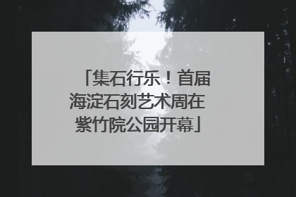 集石行乐！首届海淀石刻艺术周在紫竹院公园开幕
