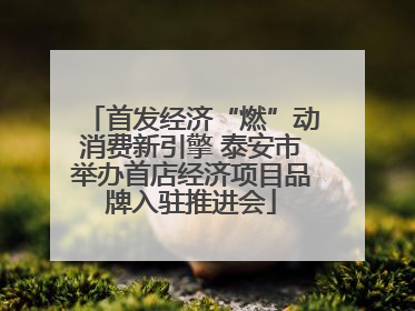 首发经济“燃”动消费新引擎 泰安市举办首店经济项目品牌入驻推进会