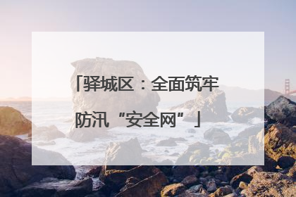 驿城区：全面筑牢防汛“安全网”