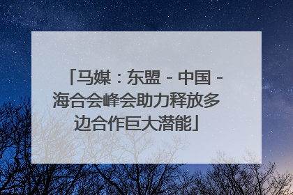 马媒：东盟－中国－海合会峰会助力释放多边合作巨大潜能
