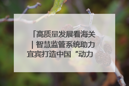 高质量发展看海关｜智慧监管系统助力宜宾打造中国“动力电池之都”