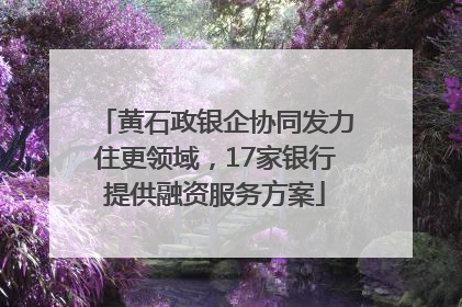 黄石政银企协同发力住更领域，17家银行提供融资服务方案