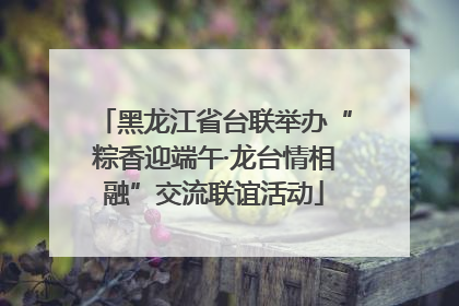 黑龙江省台联举办“粽香迎端午·龙台情相融”交流联谊活动