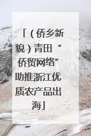 （侨乡新貌）青田“侨贸网络”助推浙江优质农产品出海