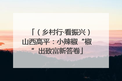 （乡村行·看振兴）山西高平：小辣椒“椒”出致富新答卷