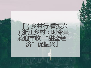 （乡村行·看振兴）浙江乡村：时令果蔬迎丰收 “甜蜜经济”促振兴