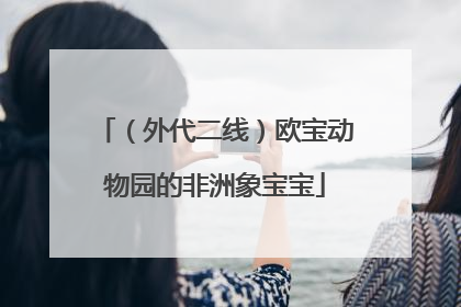 （外代二线）欧宝动物园的非洲象宝宝