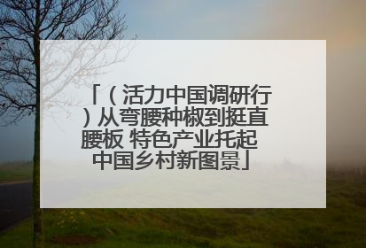 （活力中国调研行）从弯腰种椒到挺直腰板 特色产业托起中国乡村新图景