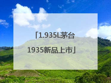 1.935L茅台1935新品上市