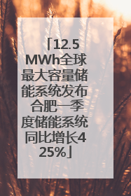 12.5MWh全球最大容量储能系统发布 合肥一季度储能系统同比增长425%