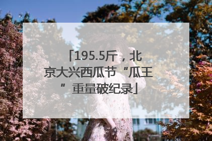 195.5斤，北京大兴西瓜节“瓜王”重量破纪录