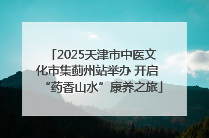 2025天津市中医文化市集蓟州站举办 开启“药香山水”康养之旅