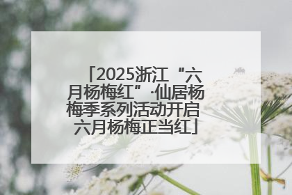 2025浙江“六月杨梅红”·仙居杨梅季系列活动开启 六月杨梅正当红