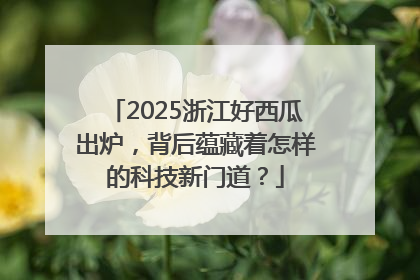 2025浙江好西瓜出炉，背后蕴藏着怎样的科技新门道？