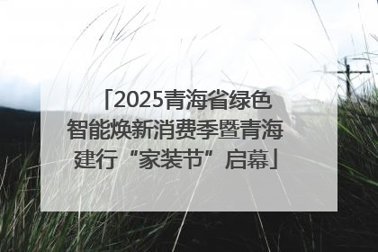 2025青海省绿色智能焕新消费季暨青海建行“家装节”启幕