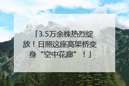 3.5万余株热烈绽放！日照这座高架桥变身“空中花廊”！