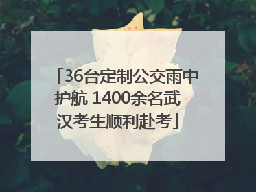 36台定制公交雨中护航 1400余名武汉考生顺利赴考