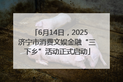 6月14日，2025济宁市消费文娱金融“三下乡”活动正式启动